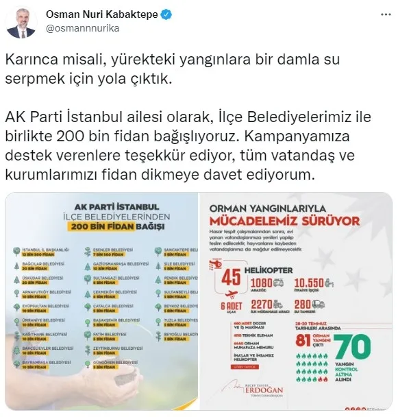 AK Parti İstanbul’dan yanan ormanlara 200 bin fidan bağışı - 3