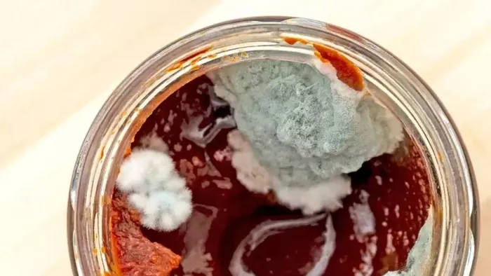 Salçaya bir çay bardağı dökün! Küften eser kalmayacak