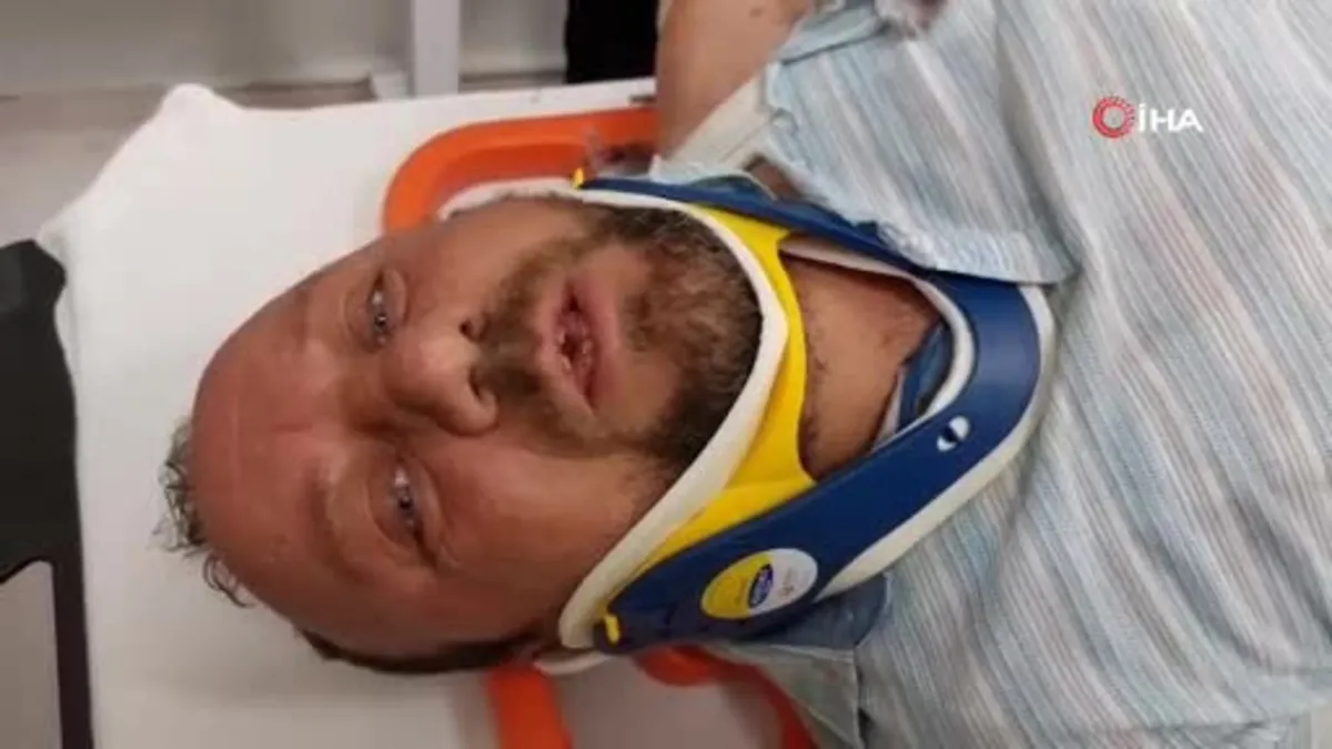Boynunu arı sokan sürücünün tırı devrildi