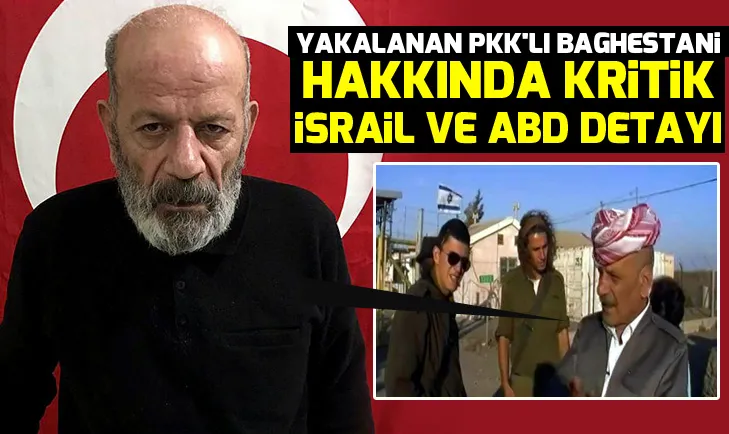 Yakalanan PKKlı Davut Baghestani, örgütü İsrail ve ABDyle...