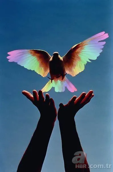 Dünya Barış Günü mesajları ve sözleri - 1 Eylül Dünya Barış Günü resimli mesajları... 8