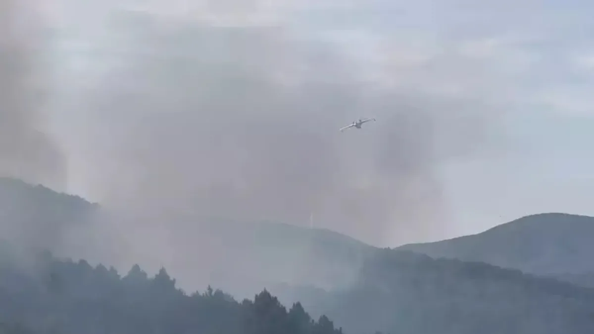 Be-200 amfibi yangın söndürme uçağı Yalova'daki yangında 58 ton su attı