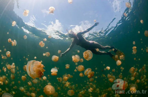 Yüzlerce insanı öldüren katil! Hava karardığında... 12