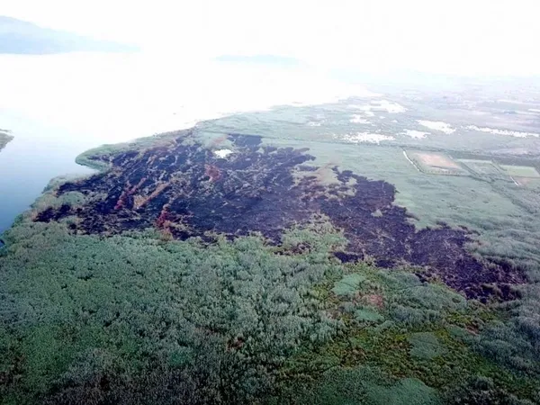 Son dakika: Ciğerlerimizi ateşe veren hainin görüntüsü ortaya çıktı! Yangın çıkarıp selfie yapmış