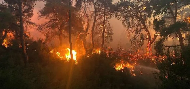 İçişleri Bakanlığından 81 il valiliğine yeni genelge! Ormanlık alanlarda ateş yakılmaması...