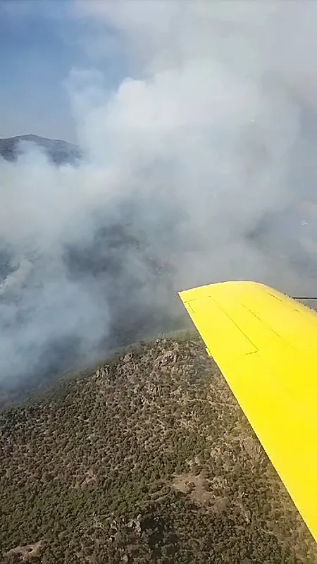 egede-orman-yangini-iki-kentte-dumanlar-yukseldi-1727624706238.jpg Ege'de orman yangını! İki kentte dumanlar yükseldi - 1