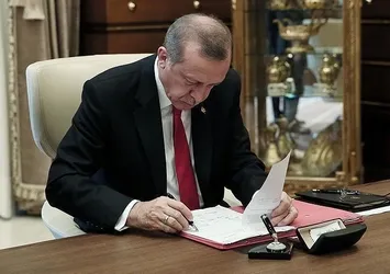 Devlet Denetleme Kurulu'na 2 yeni atama
