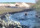 Buğday tarlaları zifte bulandı