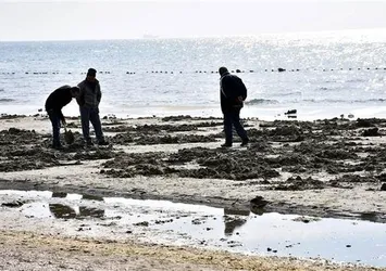 Tekirdağ’da deniz 15 metre çekildi
