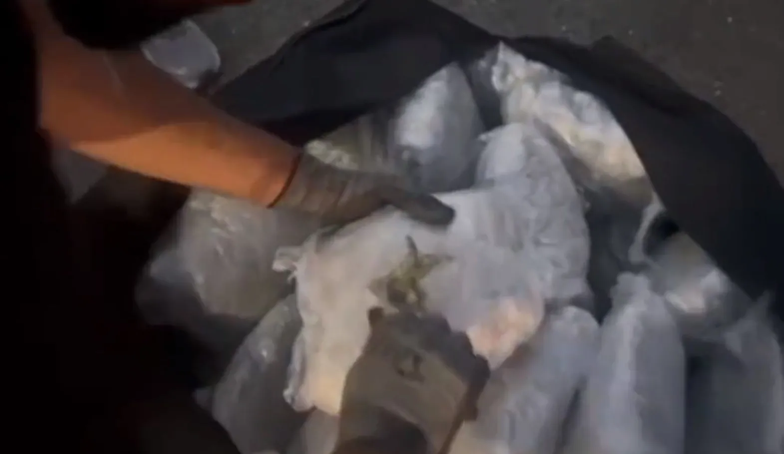 Zehir tacirlerine şafak operasyonu! Çok sayıda gözaltı var...