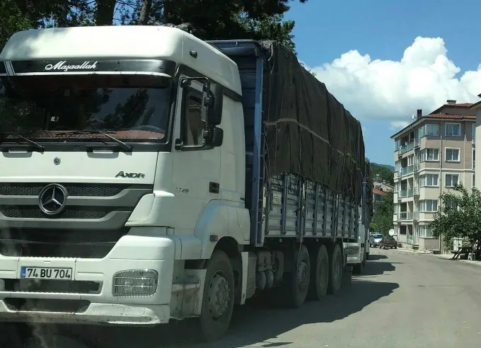 Bartın'da şoke eden olay! 2 milyon para alıp kaçak ağaç kesmişler - 2