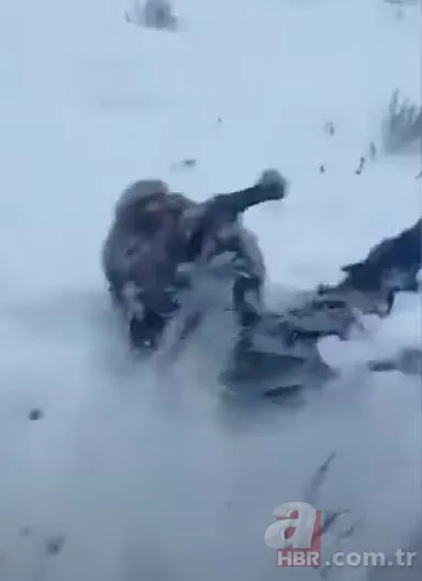 Görüntüler Türkiye'den! Kirpikleri ve sakalı soğuktan dondu 13