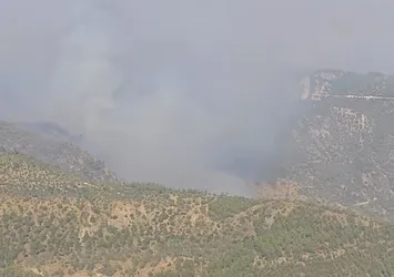Bakan Yumaklı duyurdu: Denizli'de yangın söndürme uçağı zorunlu iniş yaptı! Uçakta hasar meydana geldi