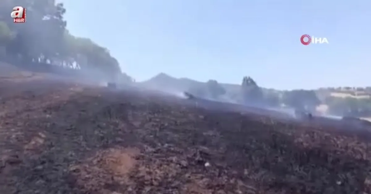 Sındırgı'da samanlar tarlada yandı