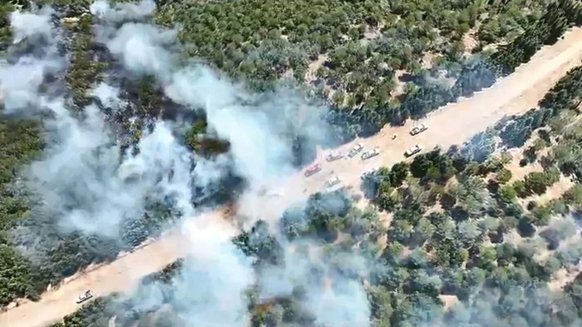 Çanakkale'de orman yangını! Alevlere havadan ve karadan müdahale