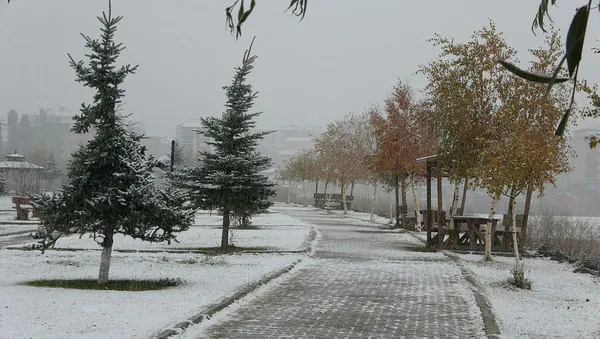 3 ilde yoğun kar yağışı! Hangi illerde kar yağacak?