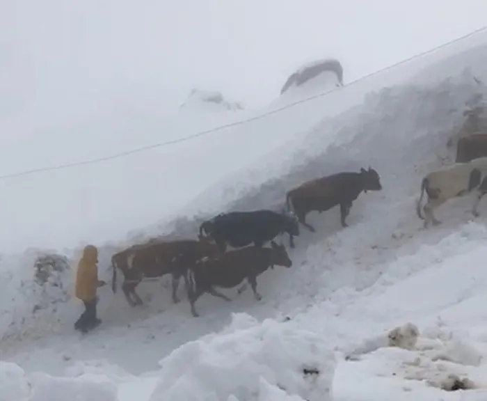 1729664176726.jpg Bir yanda güneş bir yanda kar yağışı! Meteoroloji'den yeni uyarı - 1