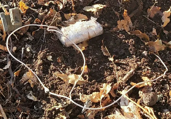 Bitlis’teki terör operasyonunda top mühimmatı ele geçirildi