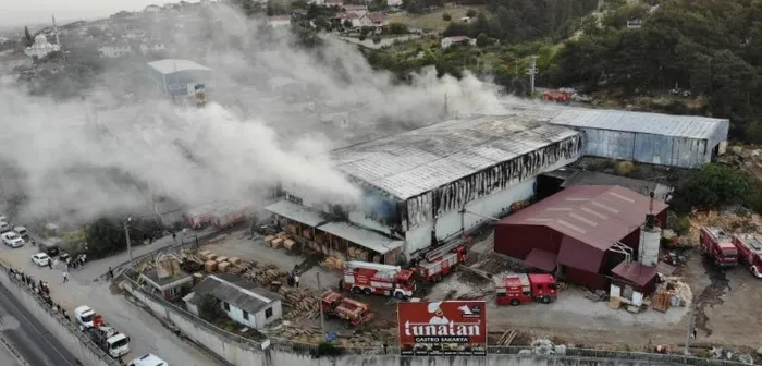 sakaryada-fabrika-alevlere-teslim-duman-d-650-kara-yolunu-kapladi-1718131041276.jpg Sakarya'da fabrika alevlere teslim! Duman D-650 kara yolunu kapladı - 2