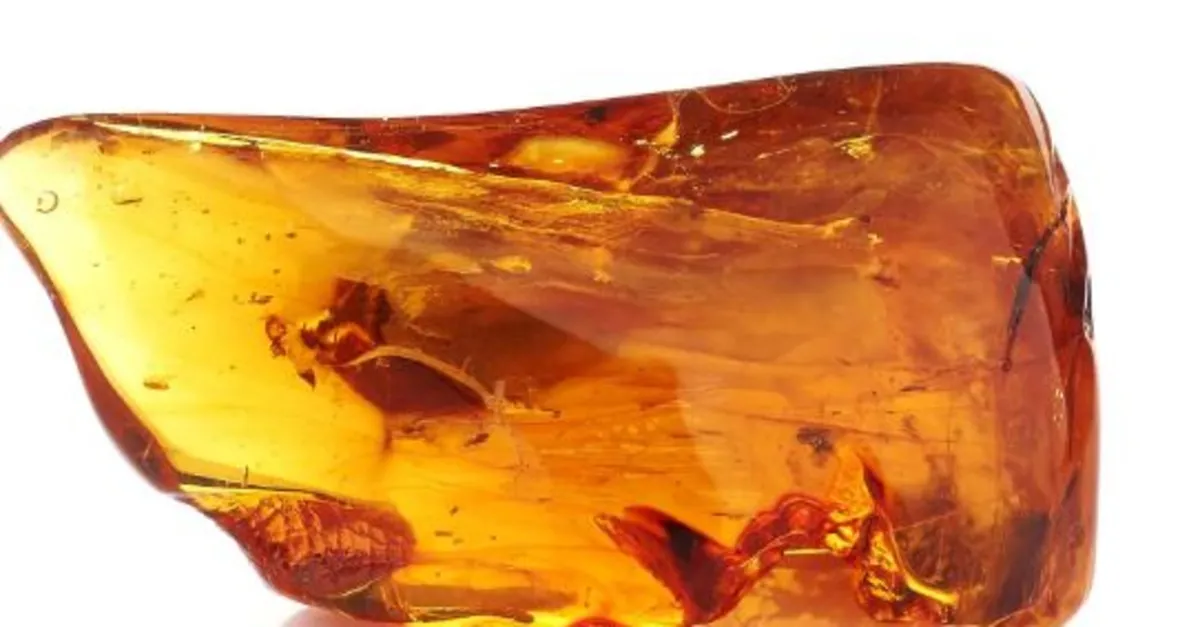 Topraktan çıkan cevher: Kehribar