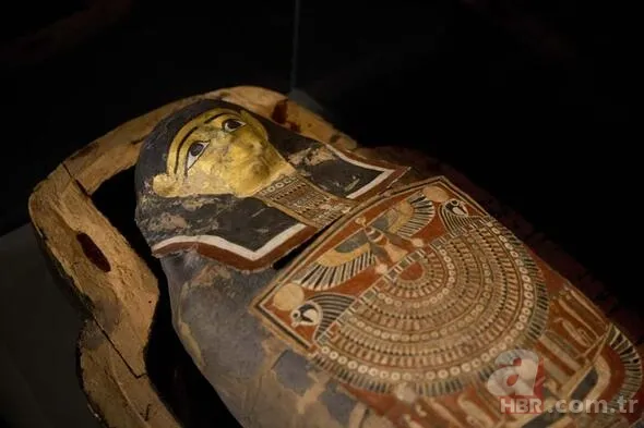 Eski kuryenin çantasından çıkan dehşete düşürdü! Kız arkadaşı olarak görüp aynı odada kalmış! Yüzlerce yıllık... 25