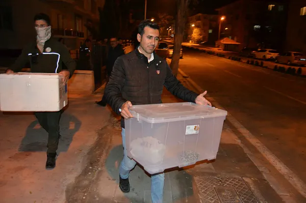 turkiyede-goruldu-beslemesi-yasak-kraliyet-pitonu-ve-sakalli-ejder-alarmi-1669921880993.jpg Türkiye'de görüldü! Beslemesi yasak! Kraliyet pitonu ve sakallı ejder alarmı... - 3