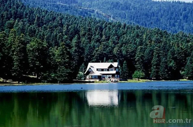 Türkiye'de hangi şehrin neyi meşhur? İşte il il meşhur olan şeyler... 20