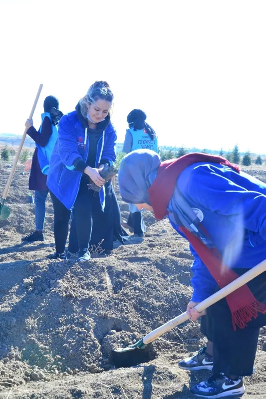 Türkiye Diyanet Vakfı binlerce fidanı toprakla buluşturdu