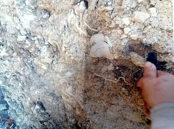 CHP’li İlkay Girgin Erdoğan kendini müdür olarak atamıştı! Şimdi de mezarlık üstüne kafeterya yapıyor