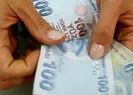 783 milyon 465 bin liralık destek hesaplarda