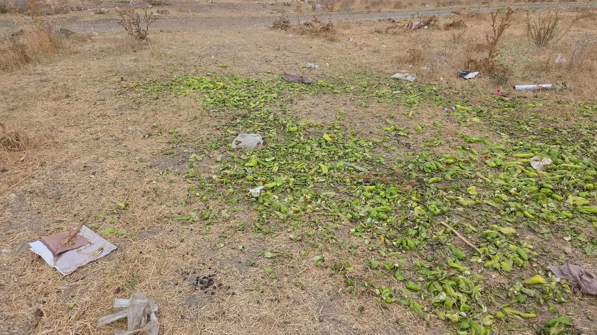 Sosyal medyada "biber" görüntülerine yalanlama: Manipülasyon girişimi