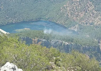 Muğla'da korkutan orman yangını! Ekipler müdahale etti
