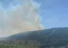 Çanakkale’de orman yangını