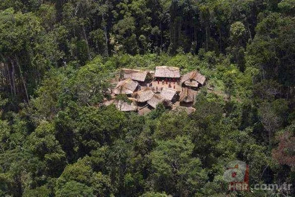 26 yıl kimseyle konuşmayan Çukur Adam öldü! Dış dünyayla teması olmayan kabilenin son üyesiydi 18