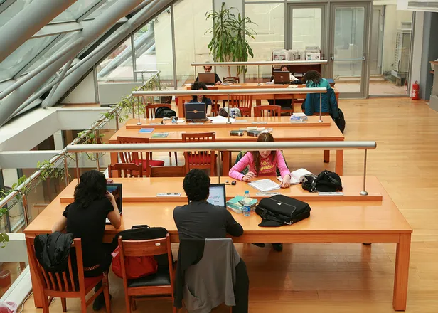 galatasaray-universitesi-kpss-55-puan-ile-personel-aliyor-temizlik-gorevlisi-bahcivan-insaat-iscisi-boyaci-ele-1695798634326.jpg Galatasaray Üniversitesi KPSS 55 puan ile personel alıyor! Temizlik Görevlisi, Bahçıvan, İnşaat İşçisi, Boyacı, Elektrikçi ve Büro Personeli alımı başvuru şartları - 1