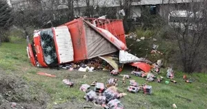 Tem Otoyolu’nda kaza