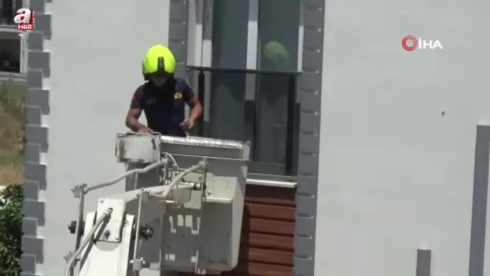 İtfaiyeden kuş operasyonu