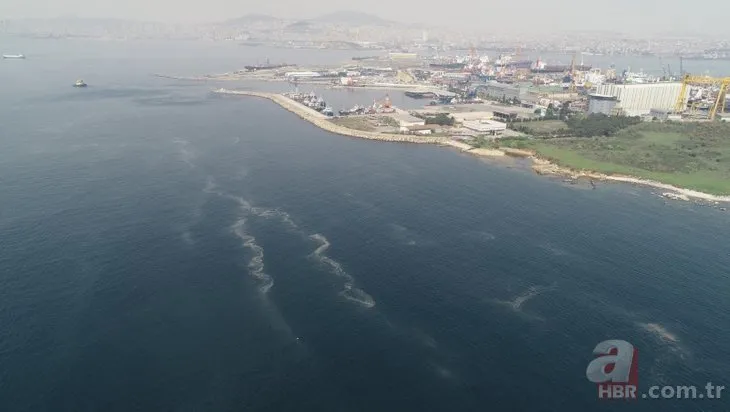 İstanbul’da korkutan görüntü! Müsilaj yeniden ortaya çıktı