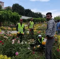 Ekrem İmamoğlu yönetimindeki İBBde kaçak ve sigortasız işçi skandalı! Flaş HDP detayı