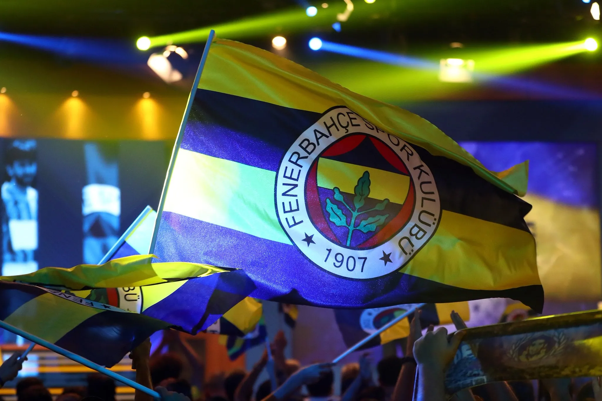 Fenerbahçe Metecan Birsen'i kadrosuna kattı