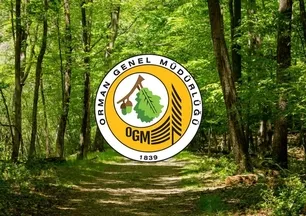 Orman Genel Müdürlüğü 150 orman mühendisi alımı yapacak! İşte başvuru şartları ve detaylar