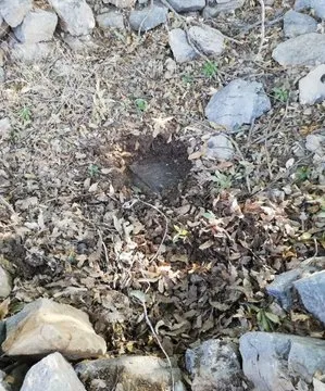 Pençe-3 Harekatı'nda sıcak gelişme - 2