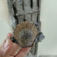 Sosyal medyada yeni algı operasyonu: Kız Kulesi yıkıldı! Provokatörler yine devrede | İşte Kız Kulesi gerçeği