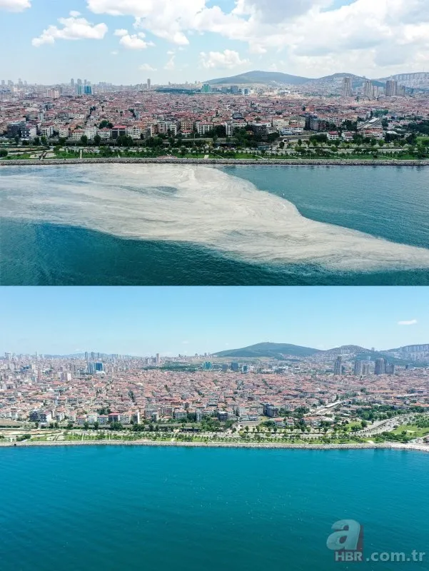 Ne kadar müsilaj temizlendi? Marmara’da müsilaj seferberliği