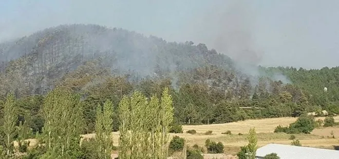 Bolu’da orman yangını!