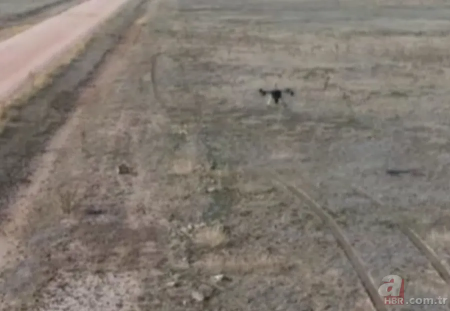 Türkiye'den yeni İHA hamlesi! Yerli BOYGA geliyor 4