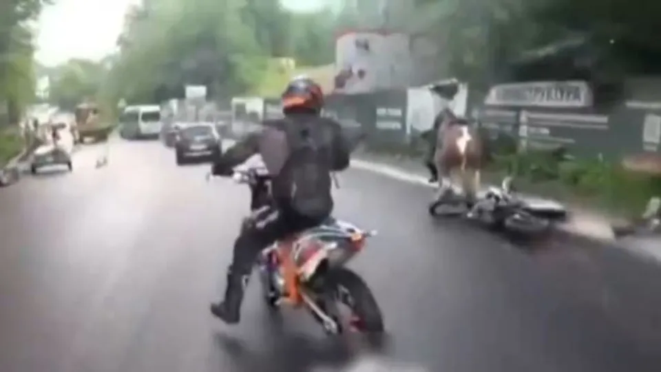 Manevra yapan motosiklet ata çarptı