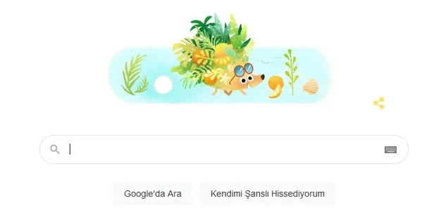 Yaz 2021 Doodle oldu! 21 Haziran yaz gündönümü nedir? En uzun gün kaç saat sürer? Ekinoks tarihleri... - 1