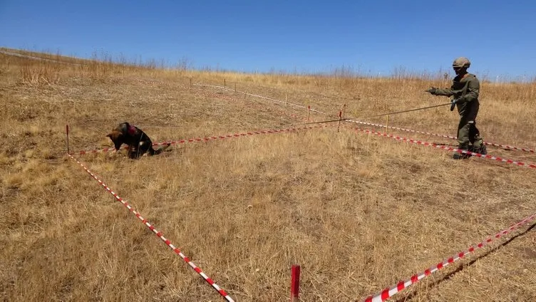 Van'ın İran sınırında kritik görev! 4 bin tanesini bulup imha ettiler