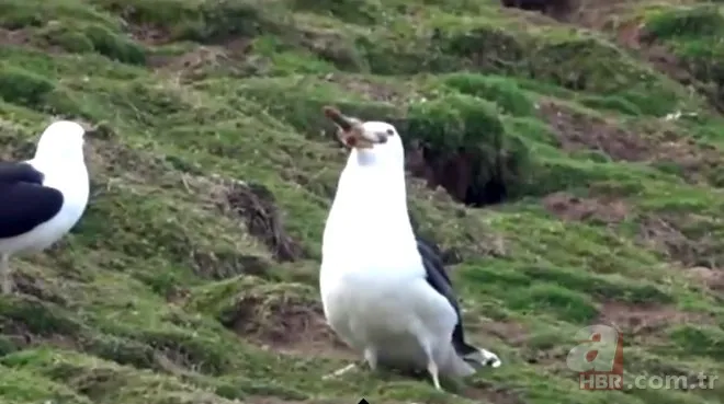 Oltasına takıldı! Neye uğradığını şaşırdı 11